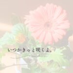 いつかきっと咲く