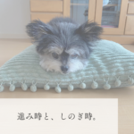 波はある　進み時　流れ